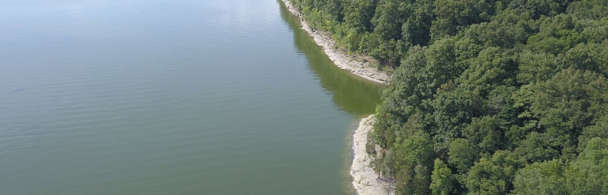 Barren County river view